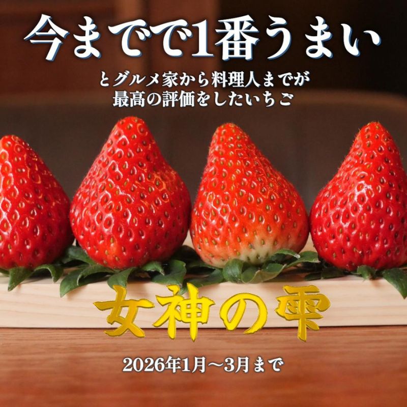 【ふるさと納税】「今までで1番うまい」とうなったイチゴ【女神の雫】 2026年1月 2月 3月 4月 450g 岐阜県 美濃市 じゅん農産 1 苺　お届け：2026年1月1日～4月30日まで