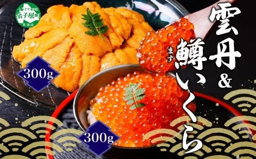 
            3408. 雲丹 計300g 鱒いくら 醤油漬け 計300g 海鮮 2種セット うに ウニ チリ産 ミョウバン不使用 冷凍 鱒 ます マスいくら イクラ いくら醤油 魚卵 海鮮丼 手巻き寿司 寿司 すし つまみ おつまみ おかず ごはんのおとも 人気 グルメ お取り寄せ 送料無料 北海道 弟子屈町
          