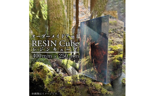 オーダーメイド アート RESIN Cube 400ｍｍ×250ｍｍ インテリア レジン キューブ 自然 静岡県 沼津市 ホテルライク 会社 デザイナー アーティスト おしゃれ 美しい 芸術 置物 玄関