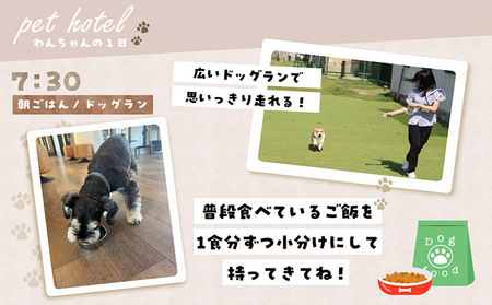 【海を一望できるドッグラン 利用チケット】ホテル ワイド2頭 1泊2日 犬 ペット ペットホテル 犬用ホテル 超小型犬 小型犬 中型犬 dog わんちゃん 愛犬 イヌ 宿泊 ドッグラン 常滑市 空港に