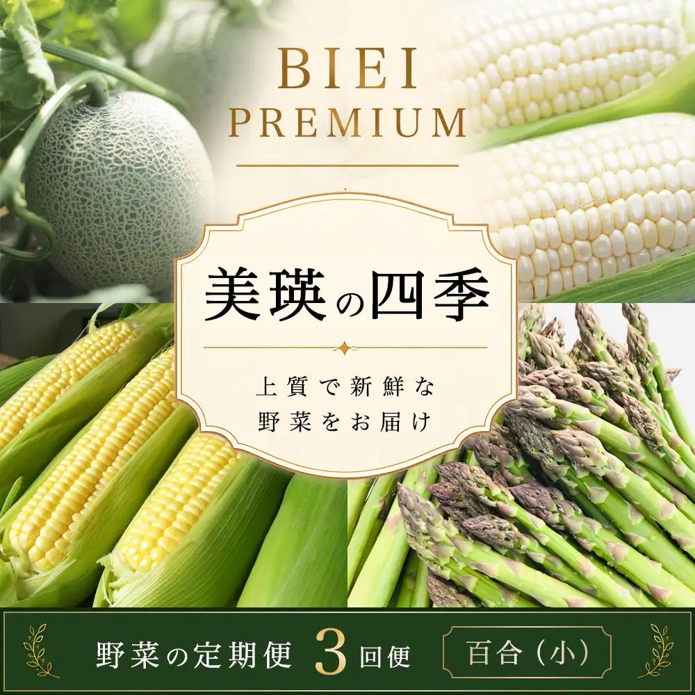旬の野菜定期便 3回 【令和9年産予約受付】 美瑛の四季 百合（小） 野菜