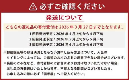 【年3回定期便】  くまもと の すいか 食べ比べ 定期便 合計4玉 スイカ 西瓜 果物 くだもの フルーツ 【2026年4月上旬発送開始】