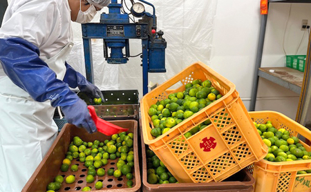 本家たかはし 三杯酢 900ml 1本 兵庫県 洲本市 淡路島