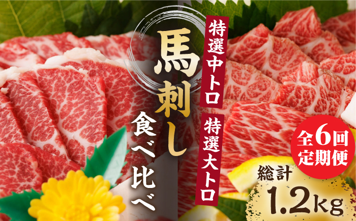 
                  【6回定期便】特選霜降り馬刺し 中トロ大トロ2種食べ比べセット 計200g（各1pc）＋タレ小 馬刺し 特選霜降り馬刺し 馬刺し 馬肉 桜肉 馬 肉 特選 霜降り 中トロ 大トロ タレ付き 冷凍 おつまみ 刺身 九州 熊本県 特産品 山鹿 送料無料【馬刺しの郷 民守】[ZBL078]
                