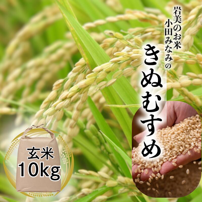 【ふるさと納税】【2025年産 先行予約】小田みなみのきぬむすめ（玄米） 10kg｜鳥取 岩美町産 お米 こめ コメ 玄米令和7年産【31026】