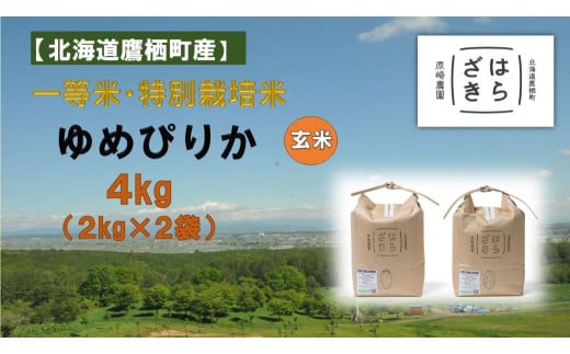A114【令和7年産】一等米・特別栽培米 4kg【ゆめぴりか玄米】2kg×2（農薬7割減）北海道 鷹栖町 原崎農園