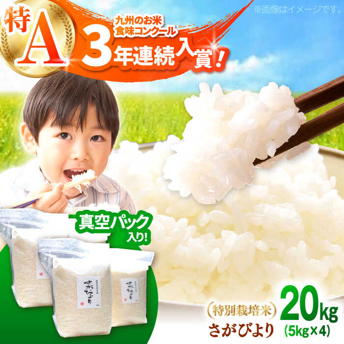 【ふるさと納税】【令和7年10月以降発送】【令和7年度産】【九州米・食味コンクール3年連続入賞！】こだわりの さがびより 20kg（白米）【白浜農産】米 お米 新米 ブランド米 農家直送 特別栽培 特別栽培米 特A評価 特A 令和7年 おすすめ 人気 佐賀県 白石町 [IBL002]