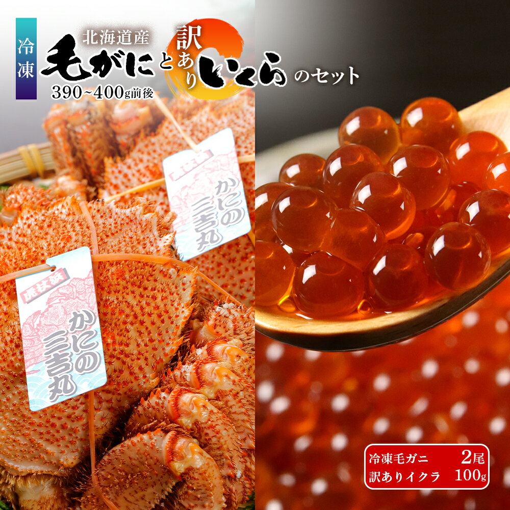 【ふるさと納税】毛ガニ 冷凍 2尾 (1尾390-400g前後)・ 訳あり イクラ 100g セット 選べる発送月毛がに 毛ガニ 毛蟹 ケガニ 毛かに 毛カニ 蟹 カニ イクラ いくら 北海道ふるさと納税 白老 ふるさと納税 北海道 AS180