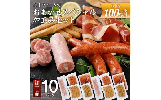 
            池上ファームのおまかせスペシャル加工品セット　AP08
          