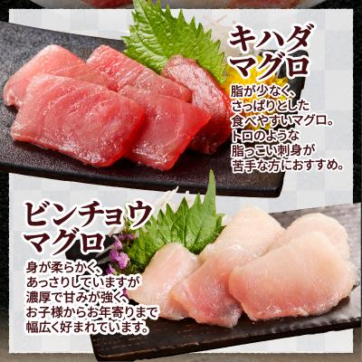 ふるさと納税 焼津市 天然鮪 焼津 キハダマグロ ビンチョウマグロ 計1kg(a10-924) |  | 01