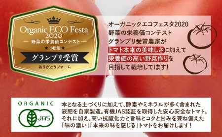 《先行予約》トマト ひだかみ流葉　コクと旨味の有機大玉トマト 有機JAS認定 合計約3kg[Q634x] syun10