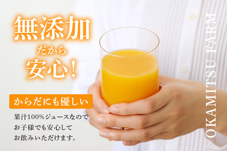 知多市産不知火ジュース　2本 果汁飲料 柑橘 無添加 みかんジュース 蜜柑ジュース オレンジジュース フルーツジュース ご当地ジュース 果物 ドリンク しらぬい でこぽん さわやか お取り寄せ 国産 