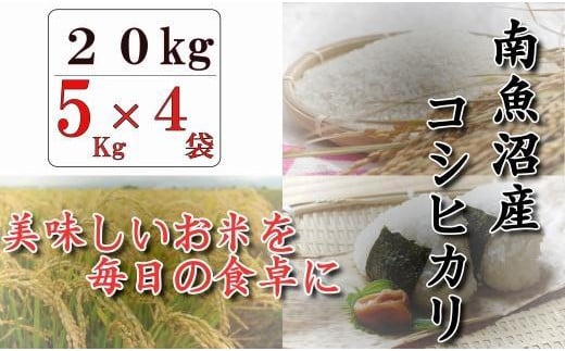 
令和５年産　南魚沼産コシヒカリ「八龍の尾」20kg(5kg×4)
