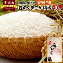 【ふるさと納税】 米 白米 精白米 【令和6年産】JA 森のくまさん 精米 約10kg JA熊本うき 宇城彩館 おこめ 送料無料 【2025年10月下旬までに発送予定】