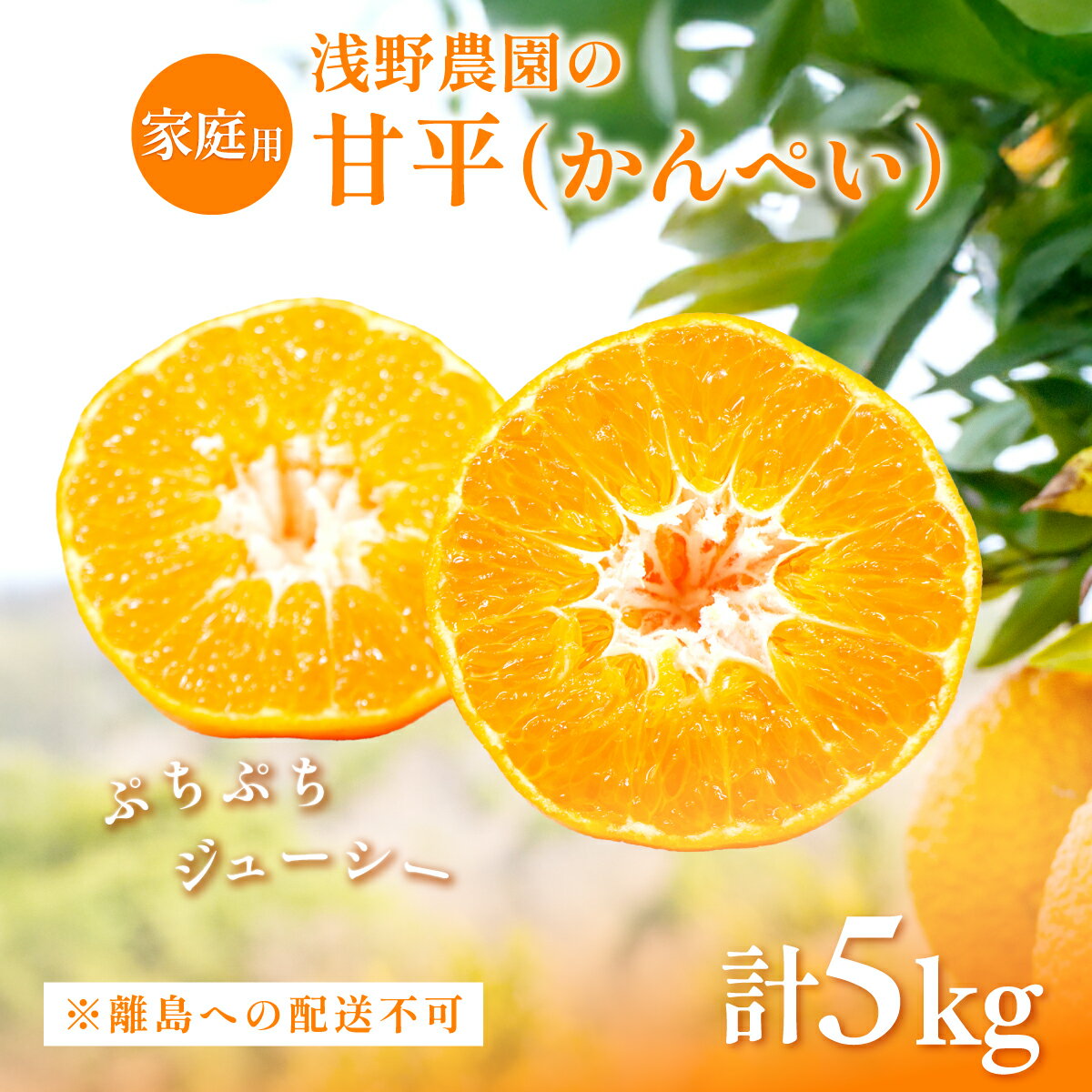 【ふるさと納税】【先行予約】【数量限定】【家庭用】浅野農園の甘平（かんぺい）5kg ※離島への配送不可（2026年2月中旬頃より順次発送予定） 【 ふるさと納税 人気 おすすめ ランキング 柑橘 みかん フルーツ 果物 有名 代表 高級 愛媛県 伊方町 送料無料 】 IKTAC027