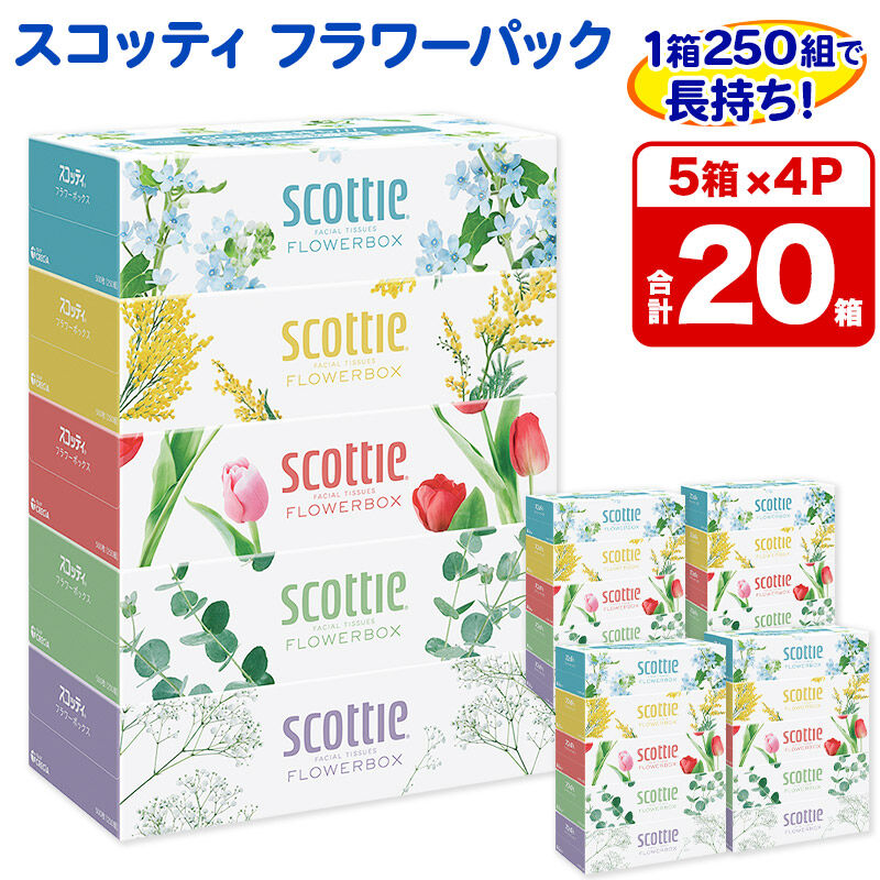 ティッシュペーパー スコッティ フラワーボックス250組 20箱(5箱×4パック) ティッシュ 秋田市オリジナル 新生活 [ティッシュ ボックスティッシュ 新生活]