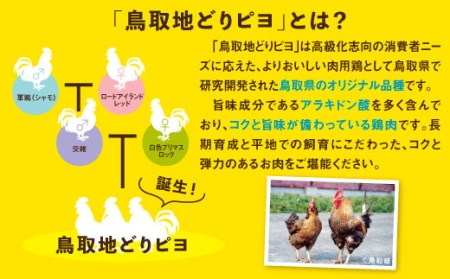 【1169】鳥取地鶏使用キーマカレー　５個セット