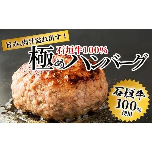 石垣牛 100% 極めハンバーグ 150g×5個  TM-5
