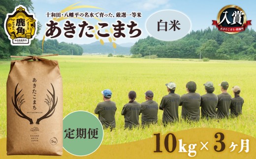 【 定期便 】あきたこまち 白米 10kg × 3ヶ月 合計 30kg 【トライズ】 ●2026年10月下旬発送開始 令和8年産 米 精米 白米 単一原料米 国産米 ブランド米 白米 もっちり 県産米 お米 こめ コメ 秋田県 あきた 鹿角市 鹿角 送料無料