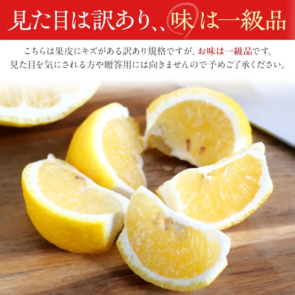 訳あり はるか 4.5kg M～2Lサイズおまかせ 高石垣ファーム