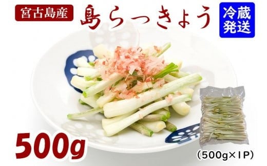 島らっきょう（500g）