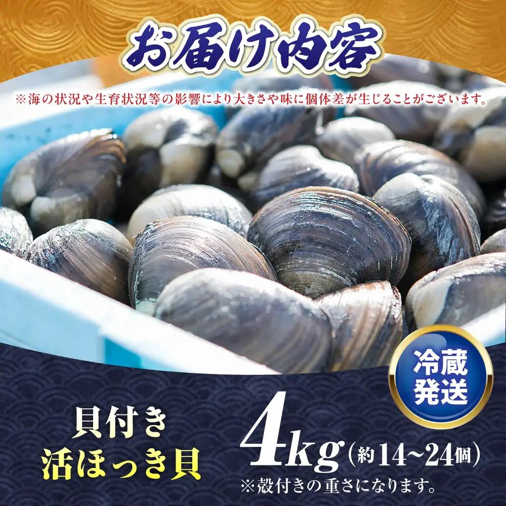 【2026年7月中旬以降順次発送再開】活ほっき貝 4kg 約14〜24個【鵡川漁業協同組合】ホッキ 冷蔵発送 [AXAL006]