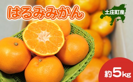 【 小豆島 】 はるみみかん 約5kg 柑橘 みかん ミカン 蜜柑 はるみ 果物 フルーツ ジューシー くだもの 国産 香川 香川県 土庄 土庄町