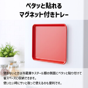 TATSU-CRAFT マグネット ノンスリップ トレー CASA 33cm GR グリーン［Tk1185］