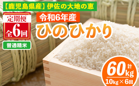 isa520-A 【定期便6回】 ＜普通精米＞令和6年産 鹿児島県伊佐南浦産ひのひかり (合計60kg・計10kg×6ヵ月) 国産 白米 精米 伊佐米 お米 米 生産者 定期便 ひのひかり 新米【Farm-K】