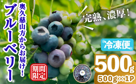 
            冷凍ブルーベリー500g ブルーベリー 果物 フルーツ 青果物 冷凍 スムージー ヨーグルト おやつ 【奥久慈 まほろばの郷 ふれあい農園】【ho1521】
          