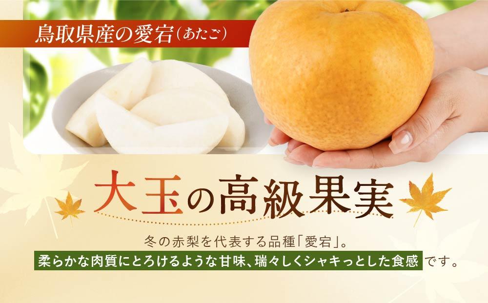 数量限定 鳥取県産梨 愛宕（あたご） 5kg（5～6玉）