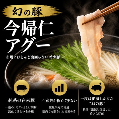 【熨斗付き】今帰仁アグーしゃぶしゃぶ2種食べ比べセット 500g(ももロース・バラ 各250g)【配送不可地域：離島】