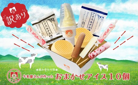 【毎月数量限定】訳あり アイス おまかせ 10個 詰め合わせセット アイス
