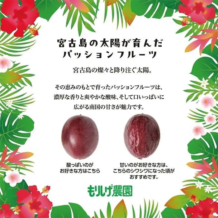 エキゾチックな味わい！宮古島産パッションフルーツ（1kg）(JJ008)