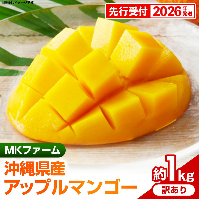 【ふるさと納税】【先行受付】【2026年発送】MKファームの訳ありアップルマンゴー約1kg【訳あり】- 訳アリ 先行予約 家庭用 ご自宅用 沖縄県産 産地直送 南国フルーツ 旬の味覚 アップルマンゴー オススメ 沖縄県 八重瀬町