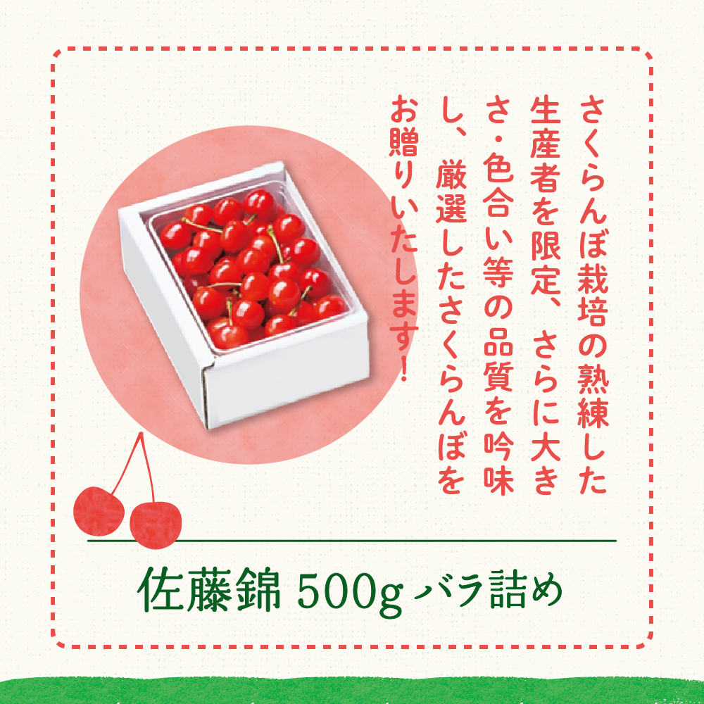 《 先行予約 》 令和7年産 さくらんぼ 佐藤錦 500g ( バラ詰め ) 〔2025年6月上旬～6月下旬頃お届け〕