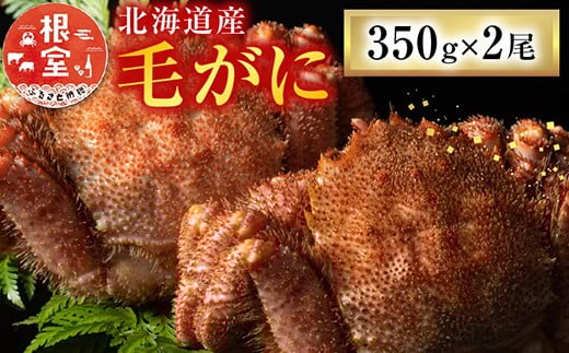 A-54011 毛がに350g×2尾