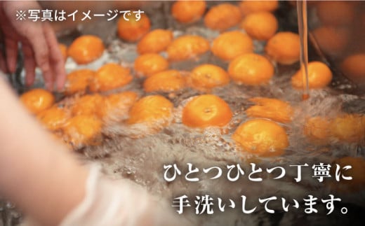 ジュース 【果汁100％ ジュース 】 西海 不知火 （ しらぬい ）甘熟じゅうす（720ml×2本）ジュース みかんジュース 飲料 不知火ジュース 100％ジュース ジュース 贈答 贈り物 ギフト 