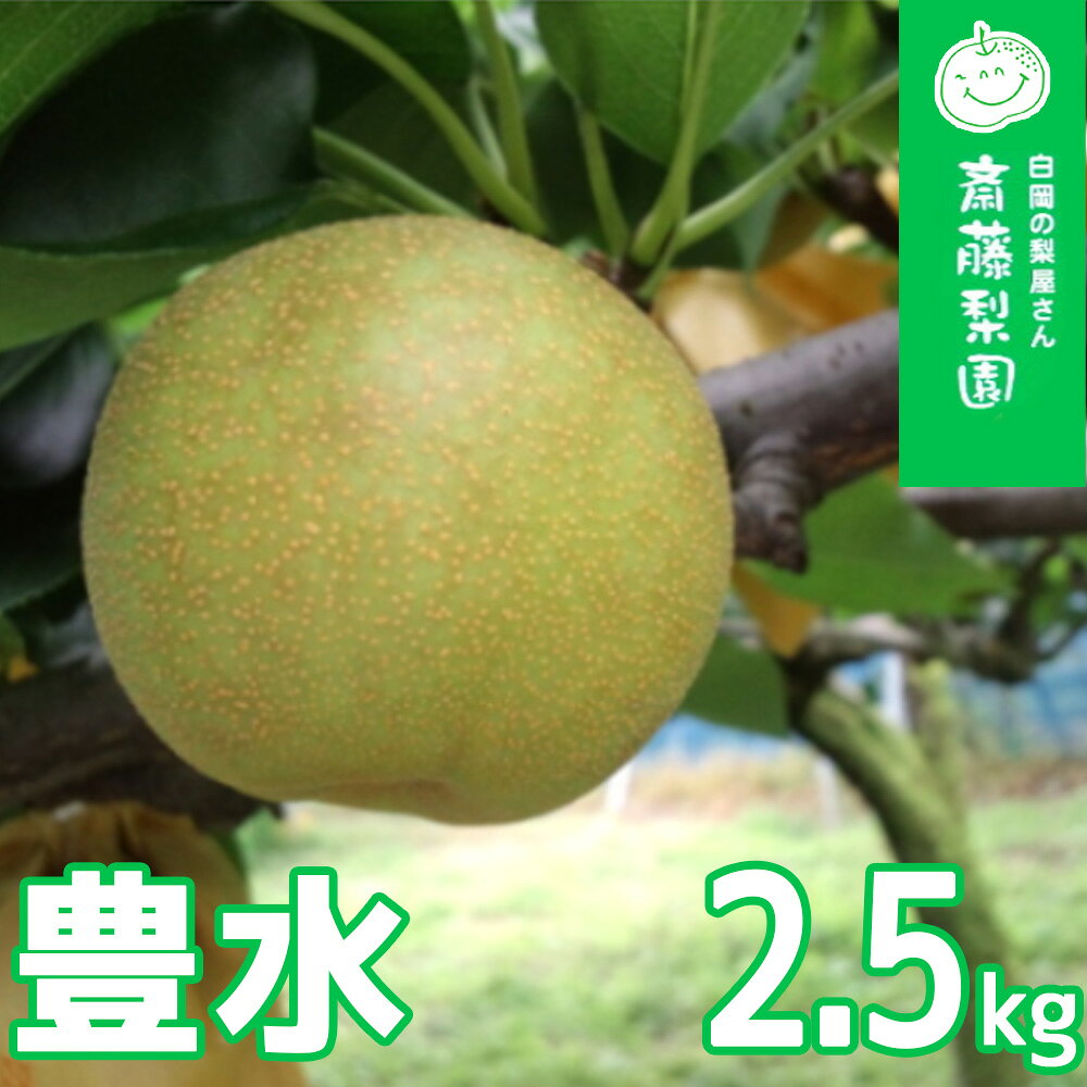 【ふるさと納税】R9先行予約 豊水 約2.5kg 梨 白岡・下野田 斎藤さんちの美味しい梨 | 埼玉県 白岡市
