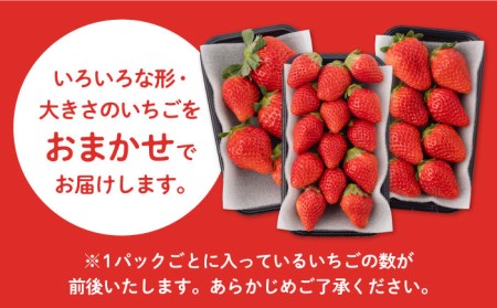 アフターフォロー付！ 白石産いちご さがほのか 約150g×6パック（計900g以上） /大容量いちご イチゴ いちご  少ない酸味 上品な甘さのいちご ケーキ 苺 佐賀県産いちご 【道の駅しろいしカ