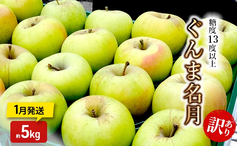 
                  りんご【1月発送】糖度13度以上 訳あり品 家庭用 ぐんま名月 約5kg【青森りんご】
                