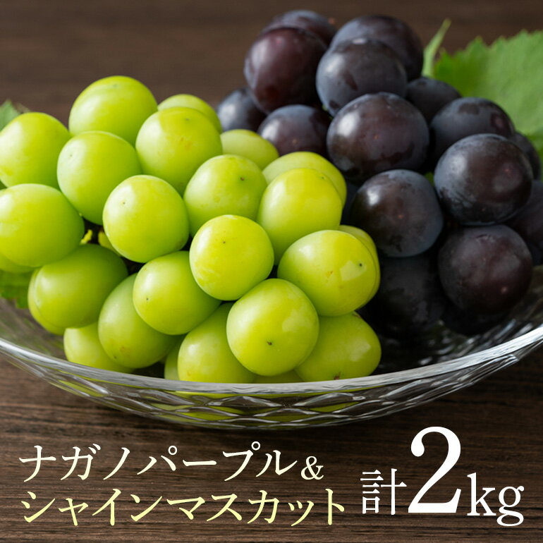 【ふるさと納税】 ナガノパープル シャインマスカット 詰め合わせ 2kg 種なし ぶどう セット 葡萄 マスカット フルーツ 果物 くだもの 高級 フルーツセット 詰合せ 詰め合わせセット ギフト 人気 贈答用 冷蔵 家族向け 茨城県 石岡市 (A02-019)