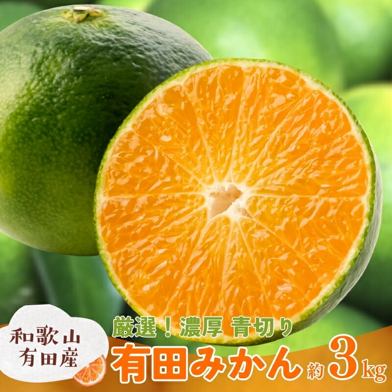 【ふるさと納税】特選 青切り有田みかん 約3kg+200g(痛み補償分)【2026年9月中旬～10月上旬頃に順次発送予定】【サイズ混合】【和歌山県産】