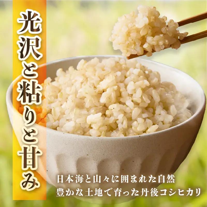 新米 令和7年産／京丹後市産 コシヒカリ 玄米5kg ふるさと納税 米 玄米 特A 検査1等米 国産 こめ ごはん 京都産 コシヒカリ 農家応援 生産者応援 送料無料
