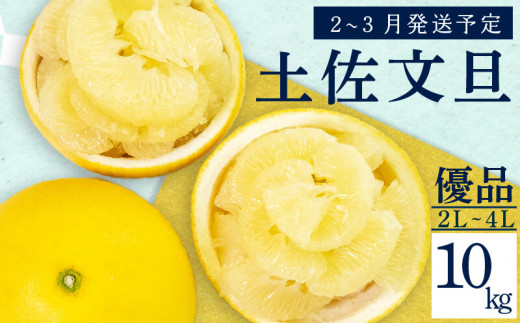 【2026年2月上旬から発送】 文旦 高知 10kg 優品 2L ～ 4L 浦ノ内特産 早期予約 予約受付中 期間限定 季節限定 限定 旬 みかん ミカン ぶんたん 高知県 土佐文旦 柑橘 贈答 お土産 KN002-x