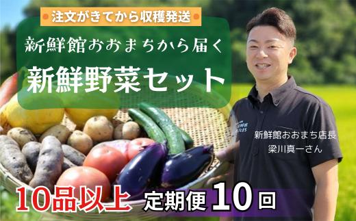 【定期便10回】注文が来てから収穫発送！収穫したばかりの新鮮野菜セット 《10品以上保証》 季節のお野菜 おまかせ お楽しみ 獲れたて産地直送 旬 春野菜 ベジタブル ヘルシー 健康 詰め合わせ 一関市
