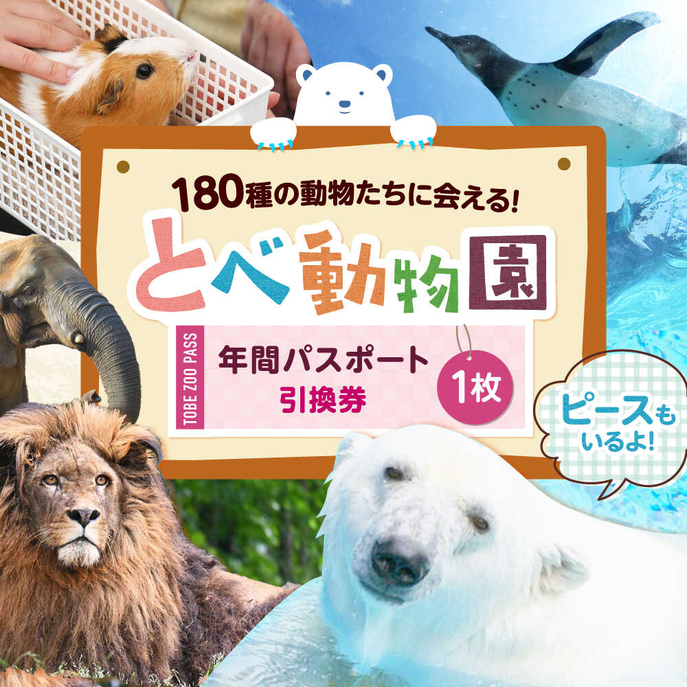 【ふるさと納税】入場券 とべ動物園「年間パスポート」 1枚 / 動物園 チケット 年パス 入場券 優待券 招待券 施設利用券 / 愛媛県砥部町/愛媛県動物園協会(砥部町地域振興課)[BJCA002]