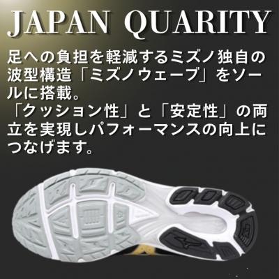 ふるさと納税 宍粟市 ミズノ ランニングシューズ【ブラック×ゴールド×ホワイト 2E】AO79 |  | 01