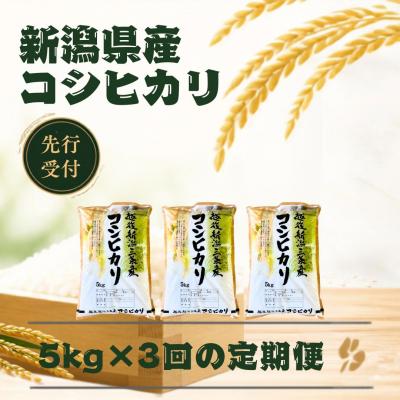 ふるさと納税 三条市 先行受付 定期便 コシヒカリ 5kg×3回 新潟県産コシヒカリ 令和8年産 【039S026】