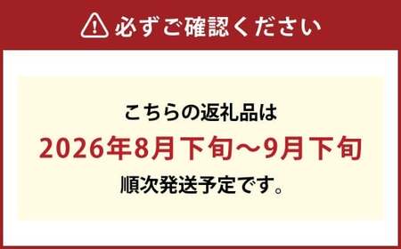 果物詰合せ 合計約1.8kg（白桃（晩生種）3玉・シャインマスカット 1房・ニュー ピオーネ 1房）岡山 フルーツ 白桃 シャインマスカット ニューピオーネ 詰め合わせ 果実【2026年8月下旬～9月